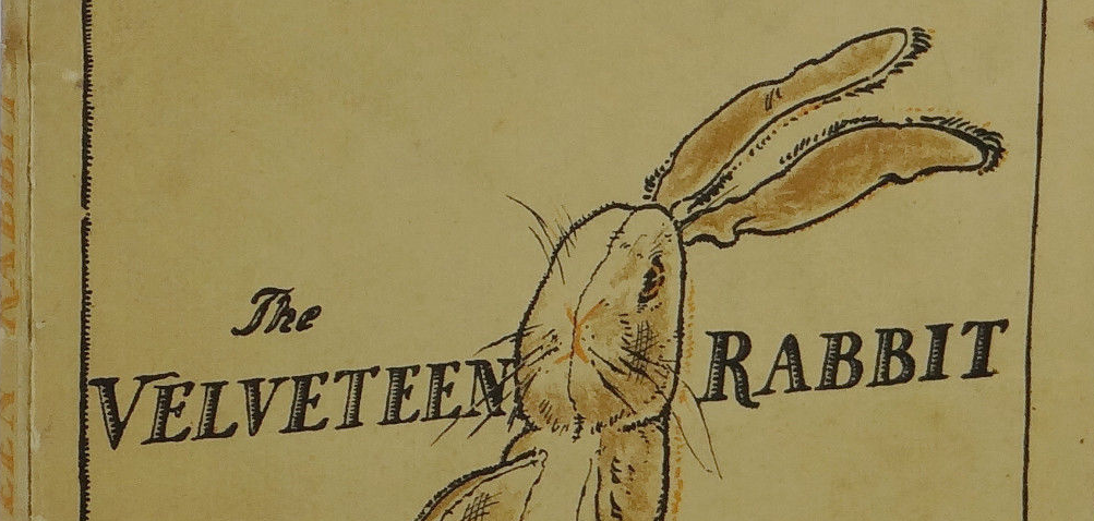 What to do when you can't remember the title of a long lost childrens' book